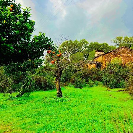 Quinta Castanheiro Da Penha - Alegrete - Portalegre - Alentejo Villa Exteriör bild