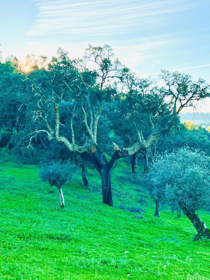 Quinta Castanheiro Da Penha - Alegrete - Portalegre - Alentejo Villa Exteriör bild